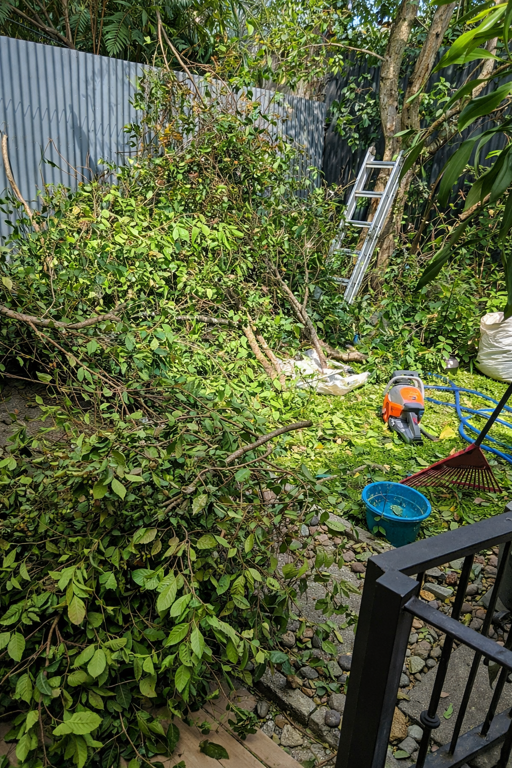 Tala y poda de árboles